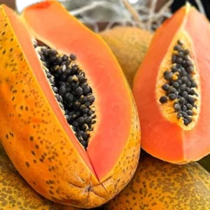 Papaya