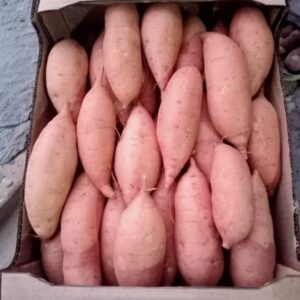 Sweet Potatoes