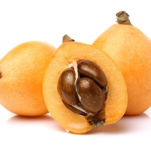 Loquat